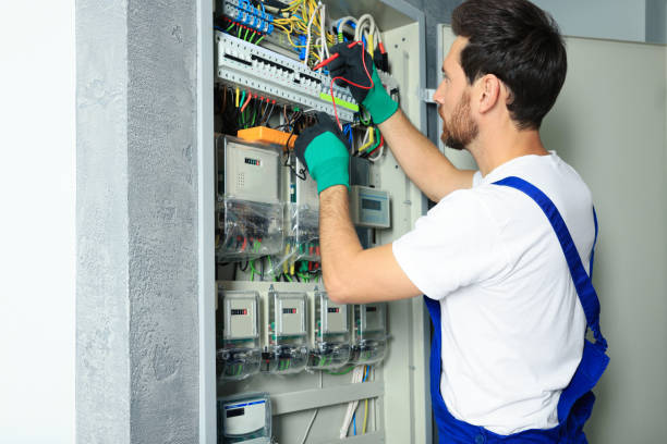 Best Electric Panel Repair  in Raton, NM